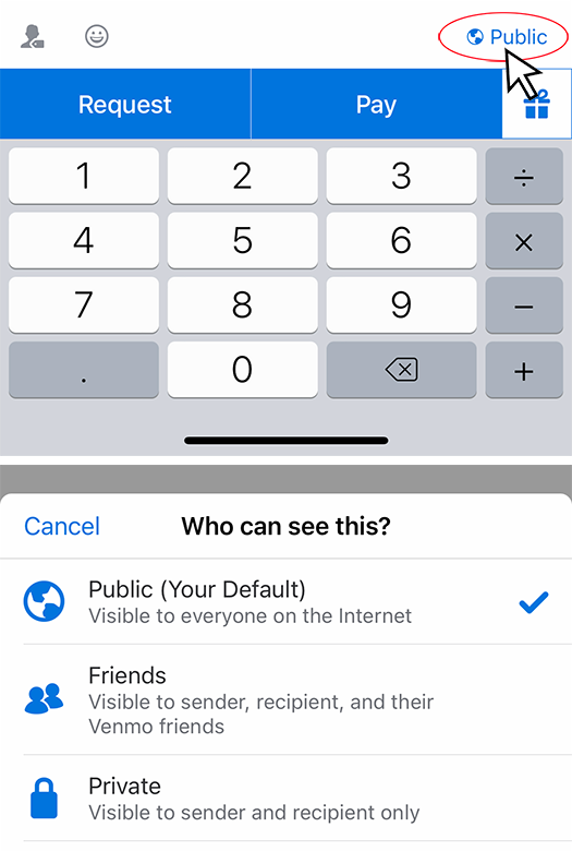 Venmo Public Setting